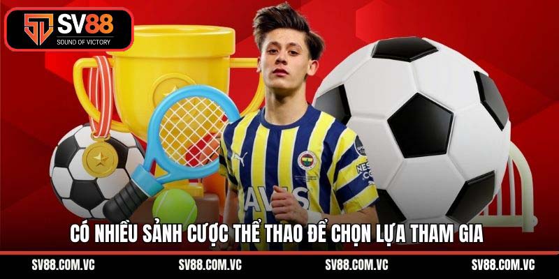 Có nhiều sảnh cược thể thao để chọn lựa tham gia